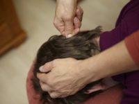Schmerztherapie